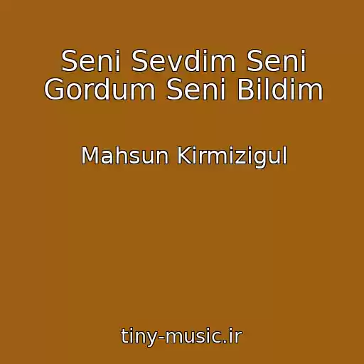 کاور آهنگ Seni Sevdim Seni Gordum Seni Bildim از Mahsun Kirmizigul