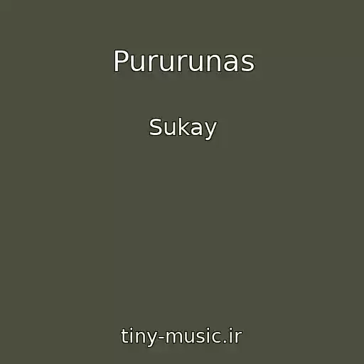 کاور آهنگ Pururunas از Sukay