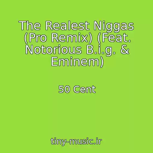 کاور آهنگ The Realest Niggas (Pro Remix) (Feat. Notorious B.i.g. & Eminem) از 50 Cent
