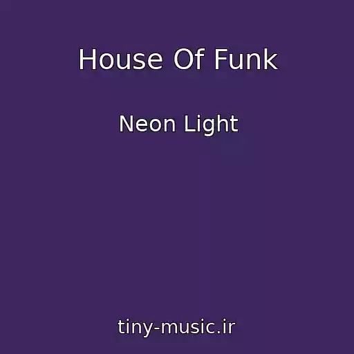 کاور آهنگ House Of Funk از Neon Light