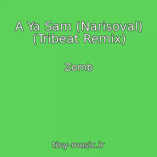 کاور آهنگ A Ya Sam (Narisoval) (Tribeat Remix) از Zomb