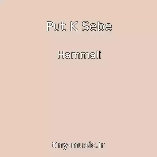 کاور آهنگ Put K Sebe از Hammali
