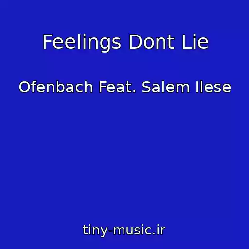 کاور آهنگ Feelings Dont Lie از Ofenbach Feat. Salem Ilese