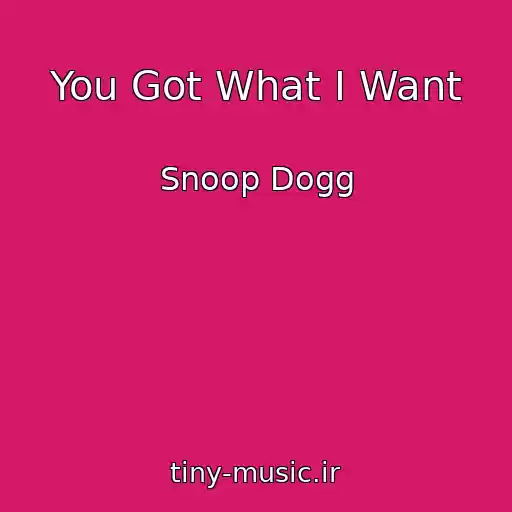 کاور آهنگ You Got What I Want از Snoop Dogg