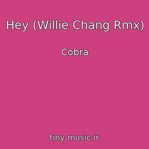 کاور آهنگ Hey (Willie Chang Rmx) از Cobra
