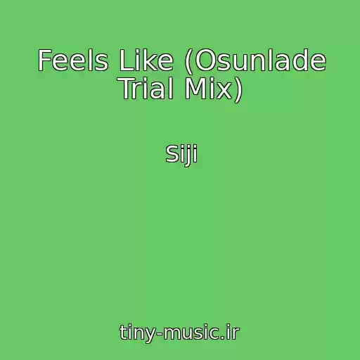 کاور آهنگ Feels Like (Osunlade Trial Mix) از Siji