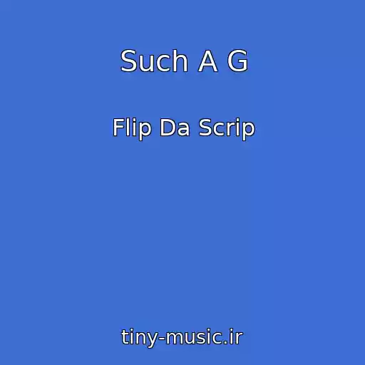 کاور آهنگ Such A G از Flip Da Scrip