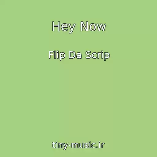 کاور آهنگ Hey Now از Flip Da Scrip