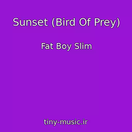 کاور آهنگ Sunset (Bird Of Prey) از Fat Boy Slim