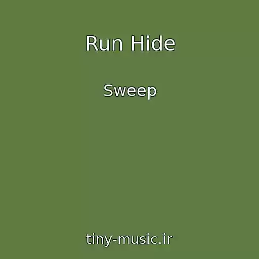 کاور آهنگ Run Hide از Sweep