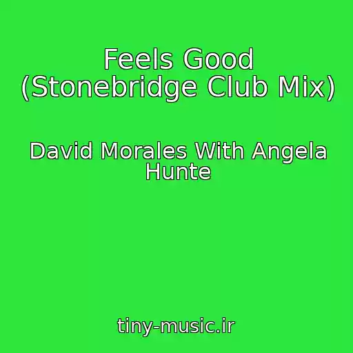 کاور آهنگ Feels Good (Stonebridge Club Mix) از David Morales With Angela Hunte