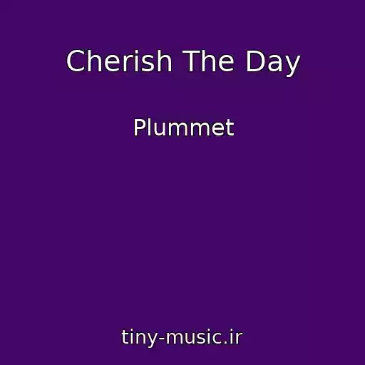 کاور آهنگ Cherish The Day از Plummet