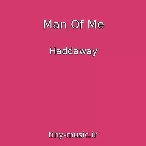 کاور آهنگ Man Of Me از Haddaway