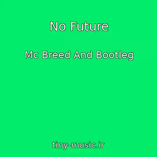 کاور آهنگ No Future از Mc Breed And Bootleg