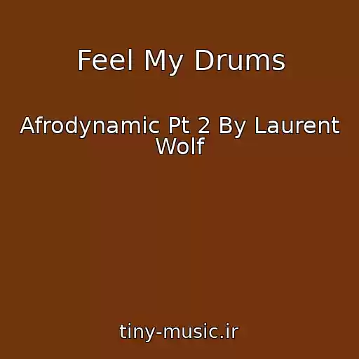 کاور آهنگ Feel My Drums از Afrodynamic Pt 2 By Laurent Wolf