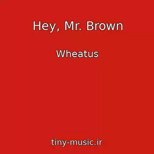 کاور آهنگ Hey, Mr. Brown از Wheatus