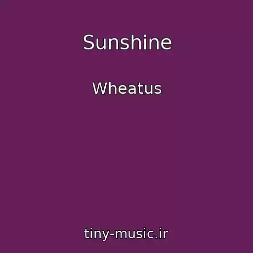 کاور آهنگ Sunshine از Wheatus