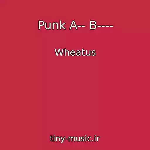 کاور آهنگ Punk A-- B---- از Wheatus