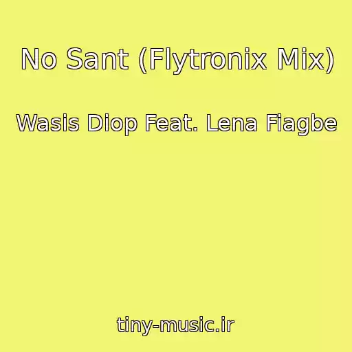 کاور آهنگ No Sant (Flytronix Mix) از Wasis Diop Feat. Lena Fiagbe
