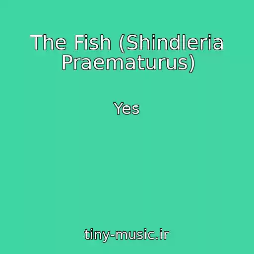 کاور آهنگ The Fish (Shindleria Praematurus) از Yes
