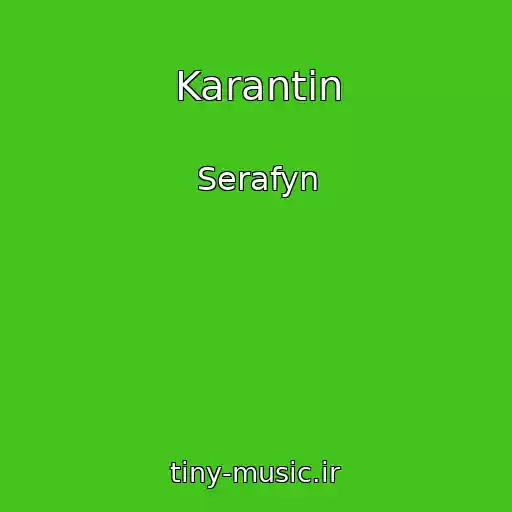 کاور آهنگ Karantin از Serafyn