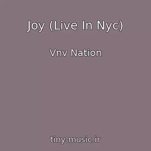 کاور آهنگ Joy (Live In Nyc) از Vnv Nation