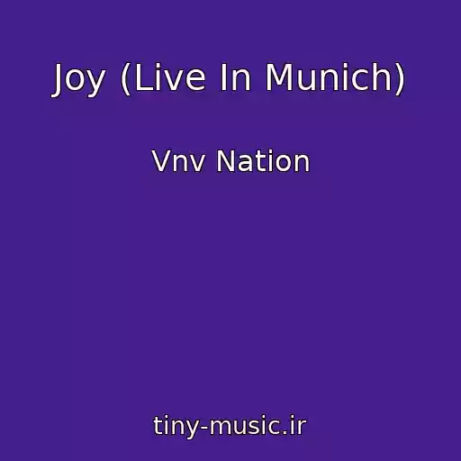 کاور آهنگ Joy (Live In Munich) از Vnv Nation