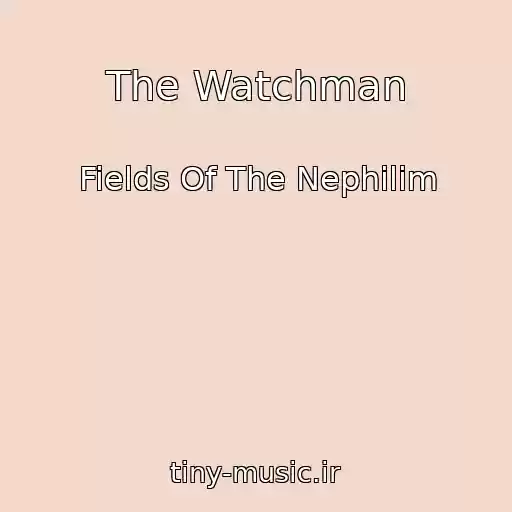 کاور آهنگ The Watchman از Fields Of The Nephilim
