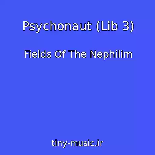 کاور آهنگ Psychonaut (Lib 3) از Fields Of The Nephilim