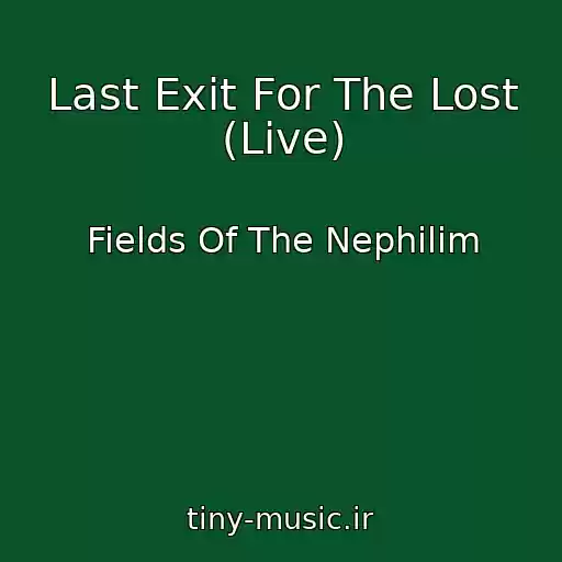 کاور آهنگ Last Exit For The Lost (Live) از Fields Of The Nephilim