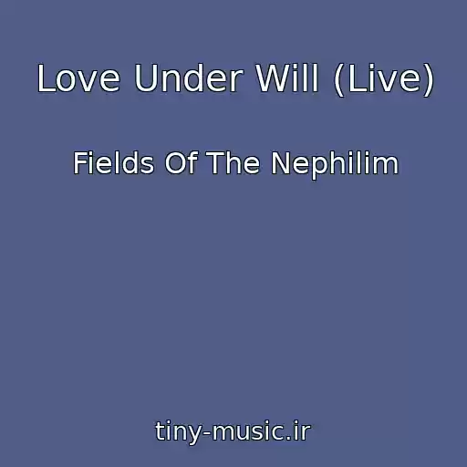 کاور آهنگ Love Under Will (Live) از Fields Of The Nephilim