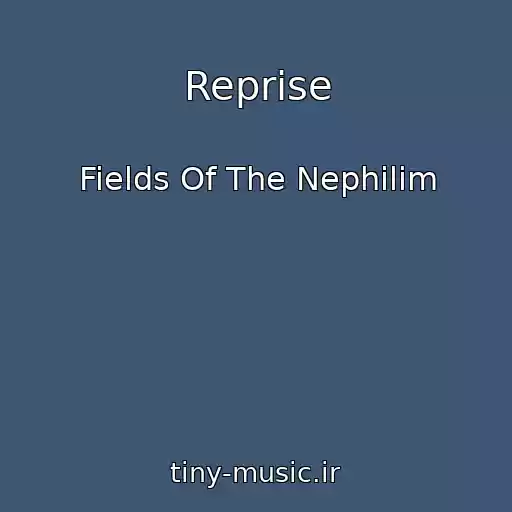 کاور آهنگ Reprise از Fields Of The Nephilim