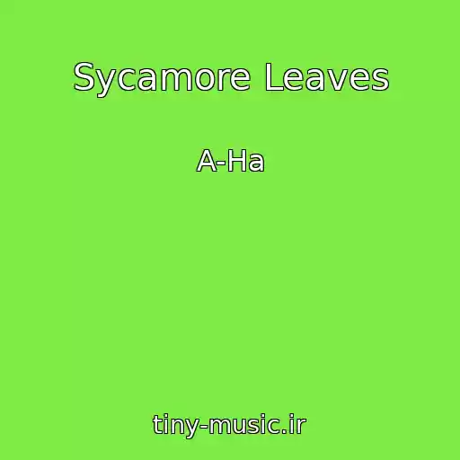 کاور آهنگ Sycamore Leaves از A-Ha