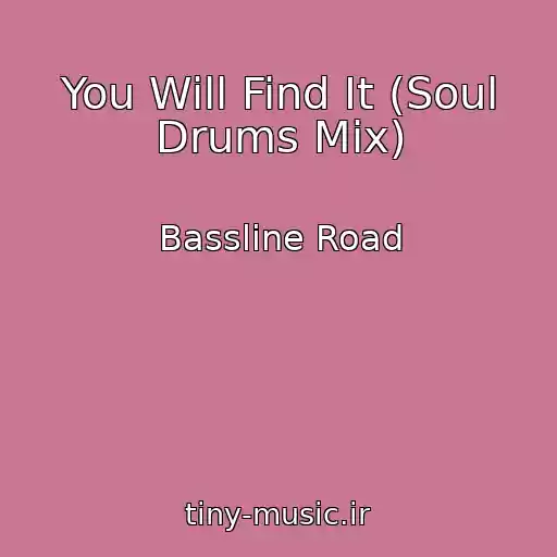 کاور آهنگ You Will Find It (Soul Drums Mix) از Bassline Road