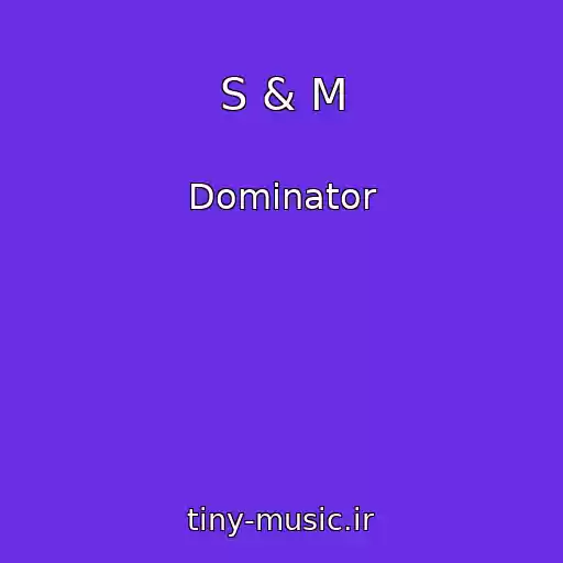 کاور آهنگ S & M از Dominator