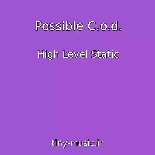 کاور آهنگ Possible C.o.d. از High Level Static
