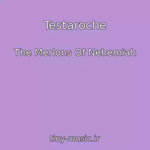کاور آهنگ Testaroche از The Merlons Of Nehemiah