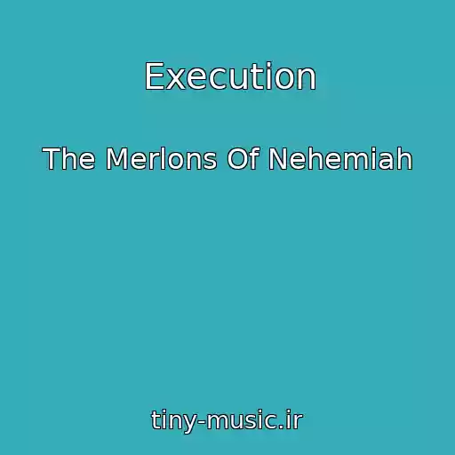 کاور آهنگ Execution از The Merlons Of Nehemiah