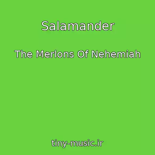 کاور آهنگ Salamander از The Merlons Of Nehemiah