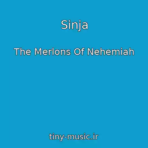 کاور آهنگ Sinja از The Merlons Of Nehemiah