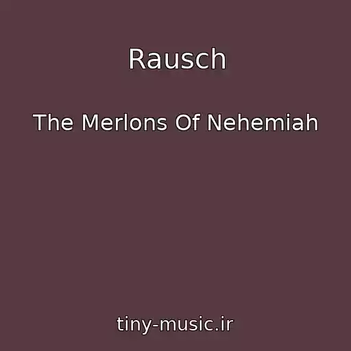 کاور آهنگ Rausch از The Merlons Of Nehemiah
