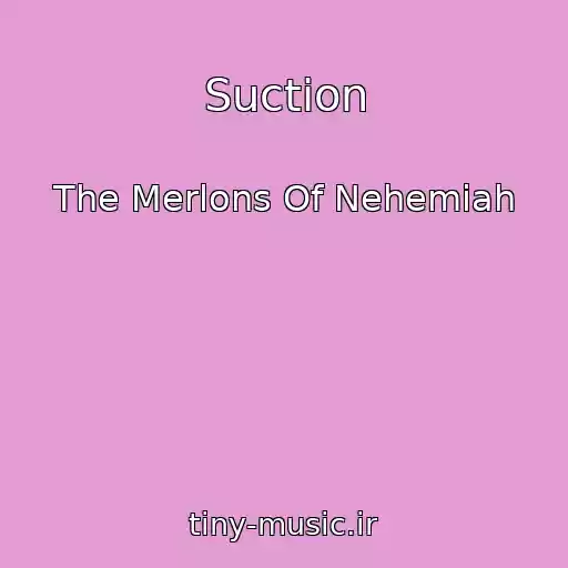 کاور آهنگ Suction از The Merlons Of Nehemiah