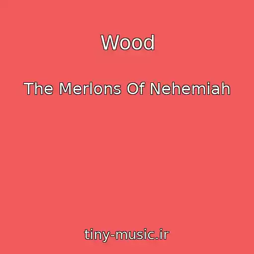 کاور آهنگ Wood از The Merlons Of Nehemiah