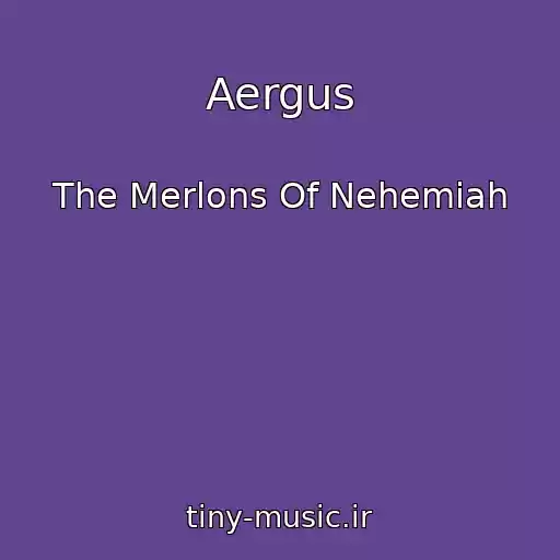کاور آهنگ Aergus از The Merlons Of Nehemiah