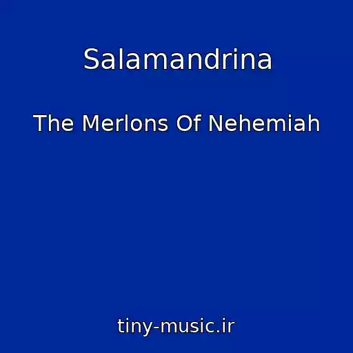 کاور آهنگ Salamandrina از The Merlons Of Nehemiah