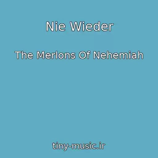 کاور آهنگ Nie Wieder از The Merlons Of Nehemiah