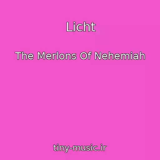 کاور آهنگ Licht از The Merlons Of Nehemiah