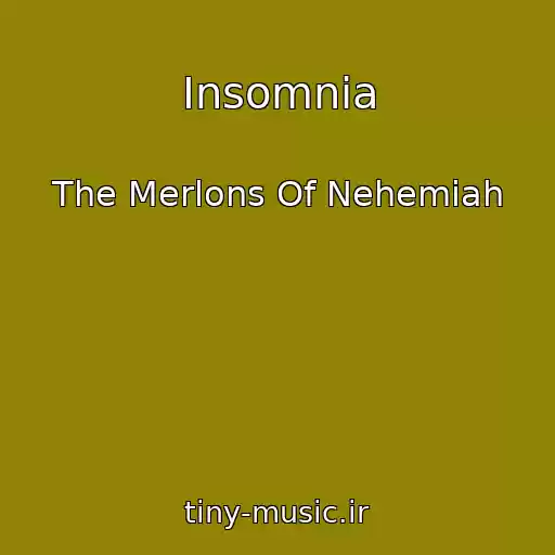 کاور آهنگ Insomnia از The Merlons Of Nehemiah