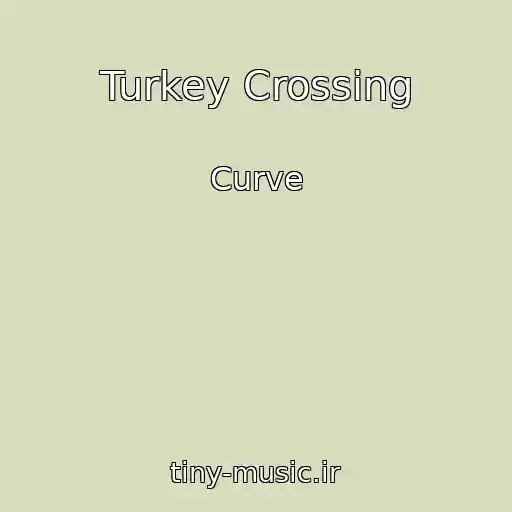 کاور آهنگ Turkey Crossing از Curve