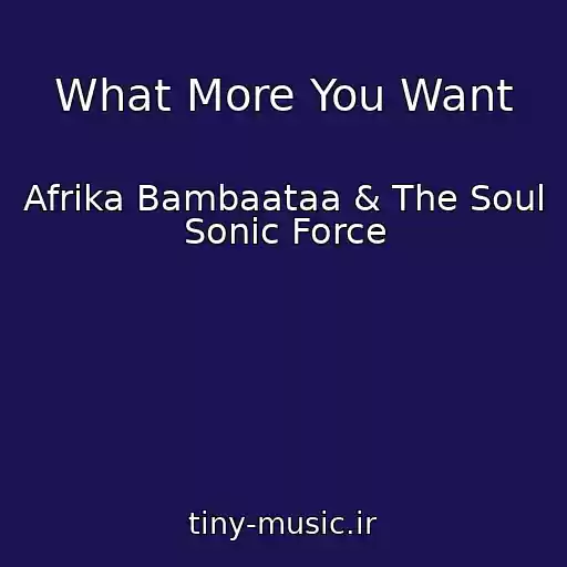 کاور آهنگ What More You Want از Afrika Bambaataa & The Soul Sonic Force